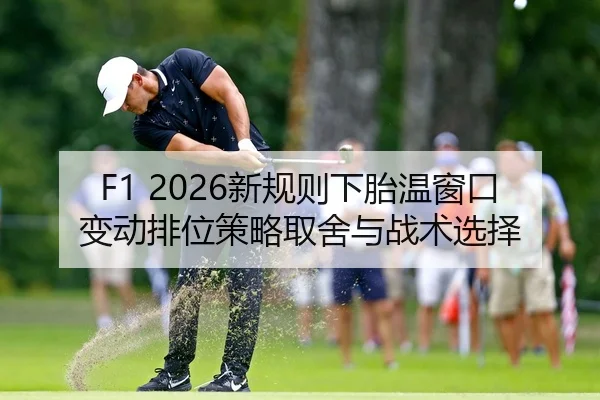 xin-gui-ze-xia-tai-wen-chuang-kou-bian-dong-pai-wei-ce-lve-qu-she-yu-zhan-shu-xuan-ze-2-309.jpg